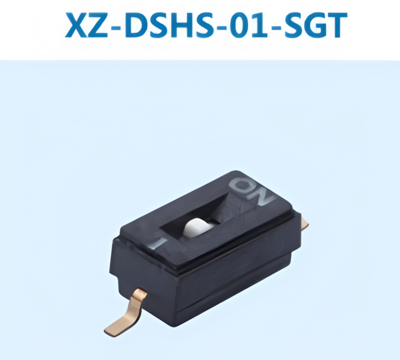 XZ-DSHS-01-SGT
