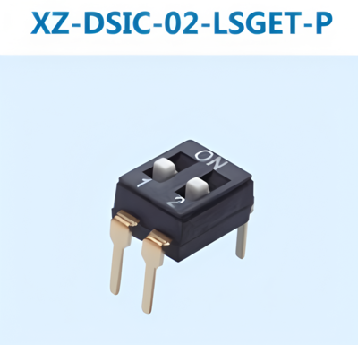 XZ-DSIC-02-LSGET-P