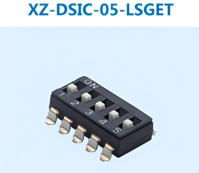 XZ-DSIC-05-LSGET