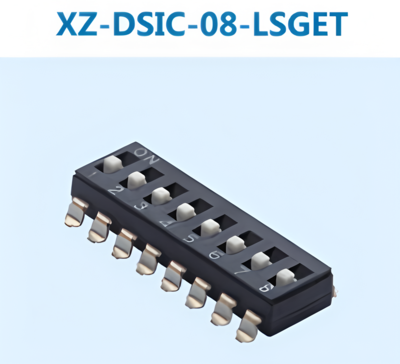 XZ-DSIC-08-LSGET
