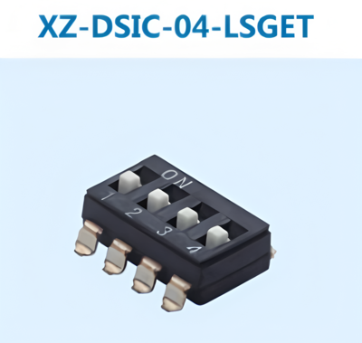 XZ-DSIC-04-LSGET
